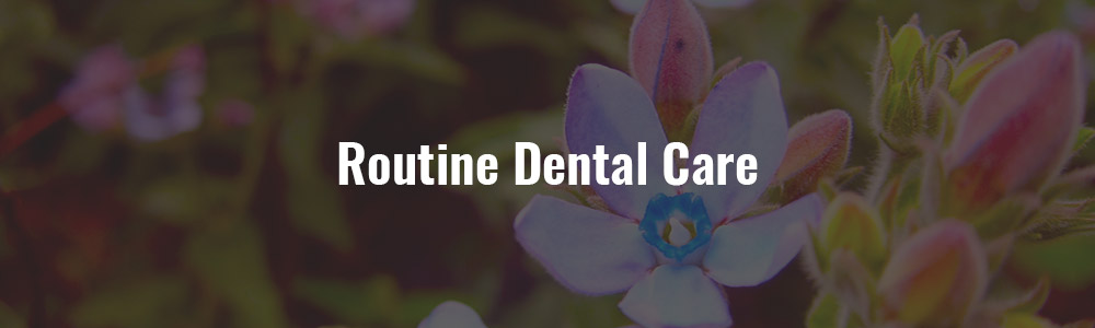 routine dental care